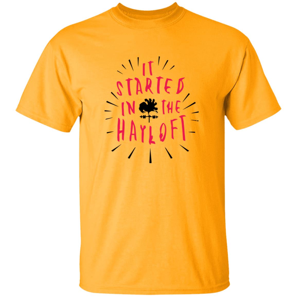 Mother Mother Merch Hayloftt Tee Shirt 