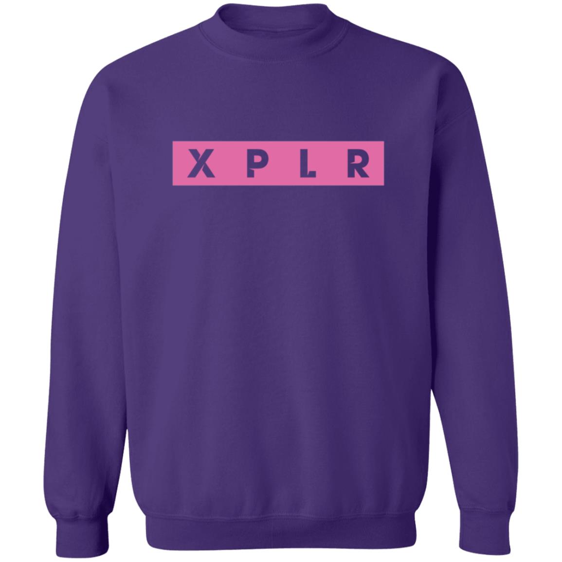 XPLR Merch XPLR Staple Hoodie XPLR Merch XPLR Staple Hoodie