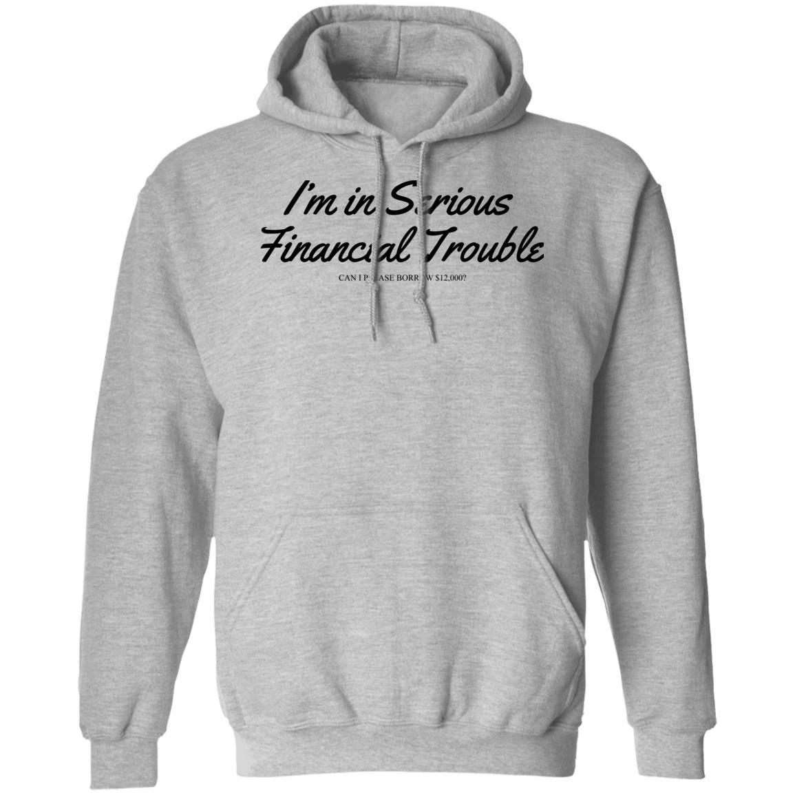 I'm In Serious Financial Trouble Can I Please Borrow $12,000 T Shirt Shitheadsteve Merch I'm In Serious Financial Trouble Can I Please Borrow $12,000 T Shirt Shitheadsteve Merch