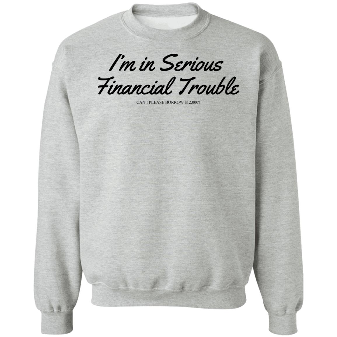 I'm In Serious Financial Trouble Can I Please Borrow $12,000 T Shirt Shitheadsteve Merch I'm In Serious Financial Trouble Can I Please Borrow $12,000 T Shirt Shitheadsteve Merch