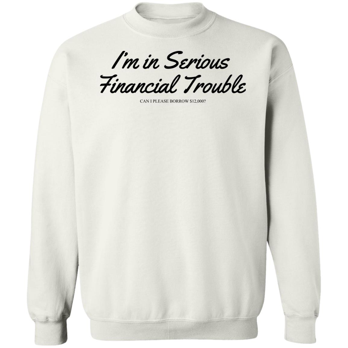 I'm In Serious Financial Trouble Can I Please Borrow $12,000 T Shirt Shitheadsteve Merch I'm In Serious Financial Trouble Can I Please Borrow $12,000 T Shirt Shitheadsteve Merch