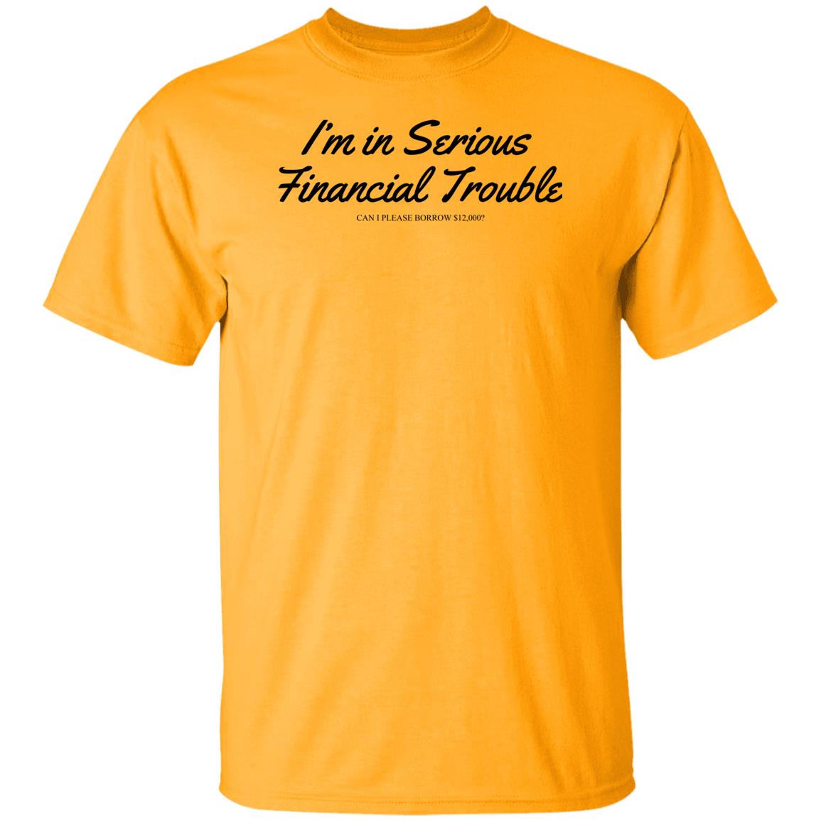 I'm In Serious Financial Trouble Can I Please Borrow $12,000 T Shirt Shitheadsteve Merch I'm In Serious Financial Trouble Can I Please Borrow $12,000 T Shirt Shitheadsteve Merch